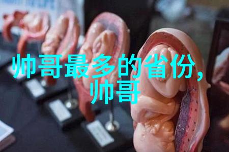 帅哥美女-镜中花水中月探秘那些令人惊叹的性别魅力