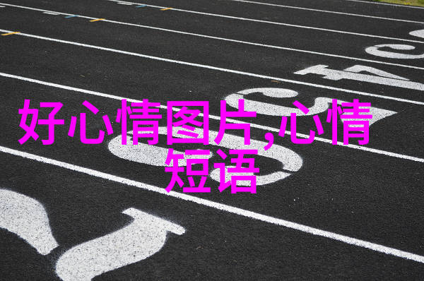 星光闪耀下的独立之歌美国节日的盛宴