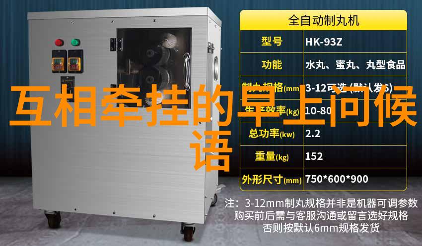 传统节日文化的演变与现代意义探究
