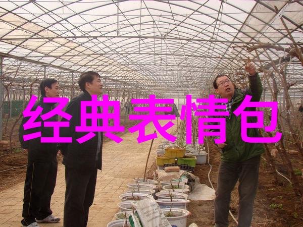 萌宠少女团队可爱q版人物的萌图集合