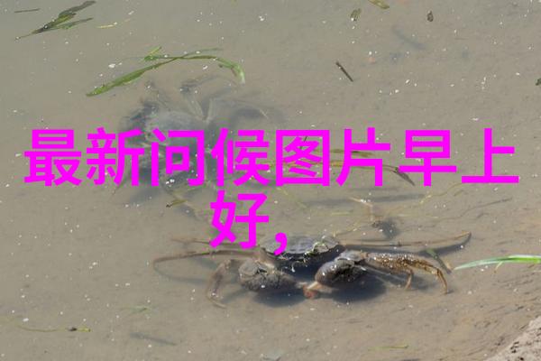 早安美景精选早上问候图片大全带来新的一天的温馨与亮丽