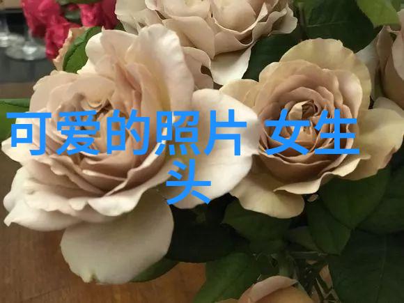 帅气卡通男生头像设计指南