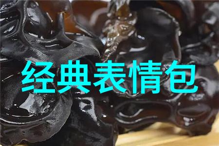 一个人的故事一段历史记录那些让人难忘的人生里的小小十一经历