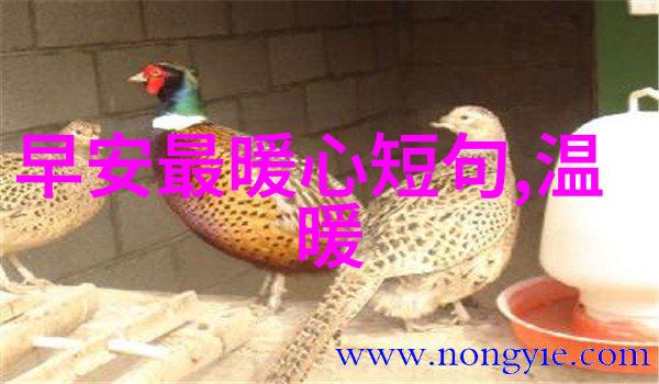 捆绑帅哥-束缚与魅力探索捆绑帅哥的独特魅力