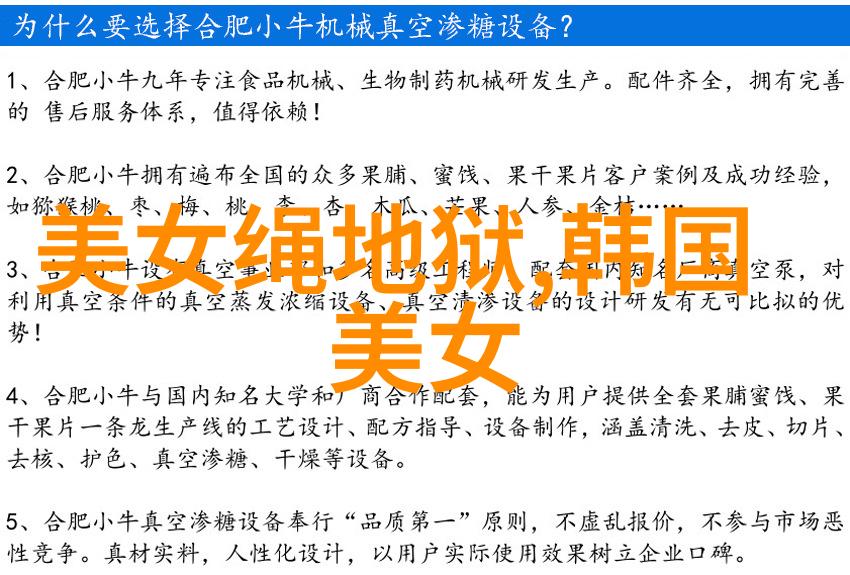 12.9的圣诞礼物带你走进节日的温馨世界