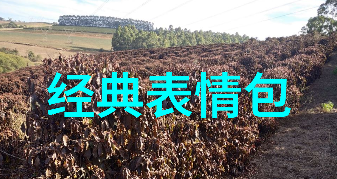 温暖的笑容卡通世界里的可爱瞬间