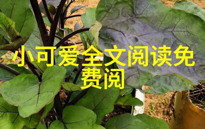 明星大侦探第三季解密明日之星背后的秘密