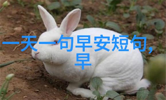 赵立新优雅亮相国剧盛典 实力斩获年度品质男配角