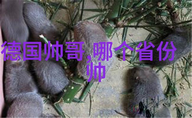 王钧赫在斗罗大陆樱花动漫中展现的社会影响力