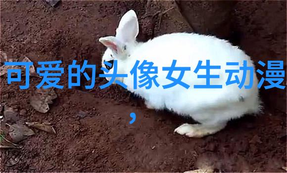 孩子来的及时怎么取名2021最新微信网名推荐生完孩子不晚起名字