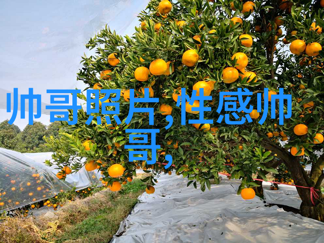 泰国恐怖片惊魂异域