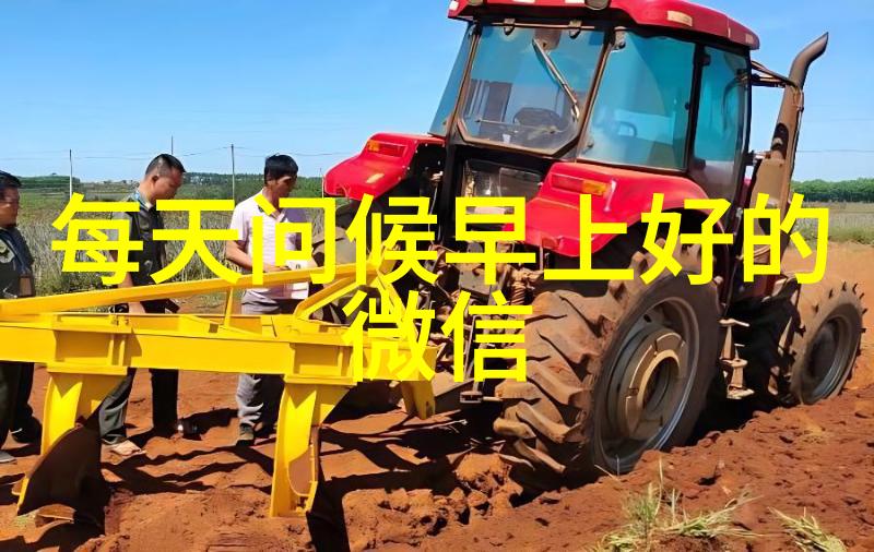 在动漫世界中卡通女生的角色有何特殊之处