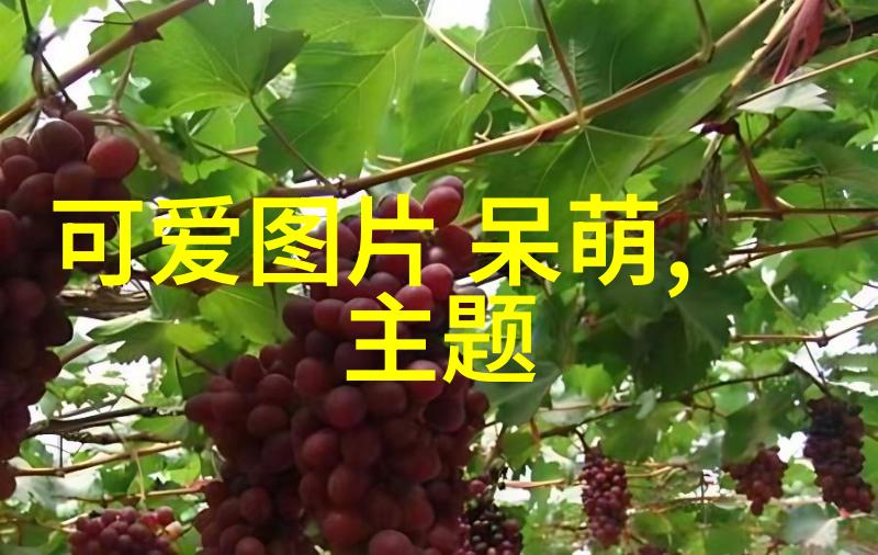 基于数据驱动的微信网名推荐带有晴的诗意选择