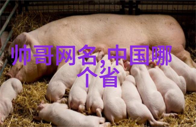 陈一发儿说了什么被永久封禁她现在在干嘛韩婧格高清视频下载观看