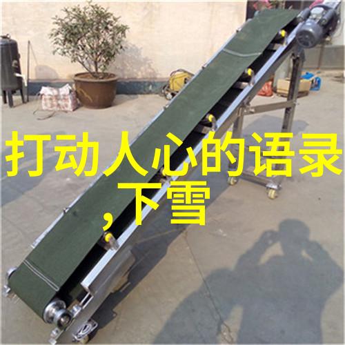 主题我和我的圣诞节日历小秘密