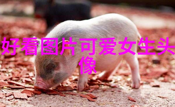 冬日之静雪花的轻语