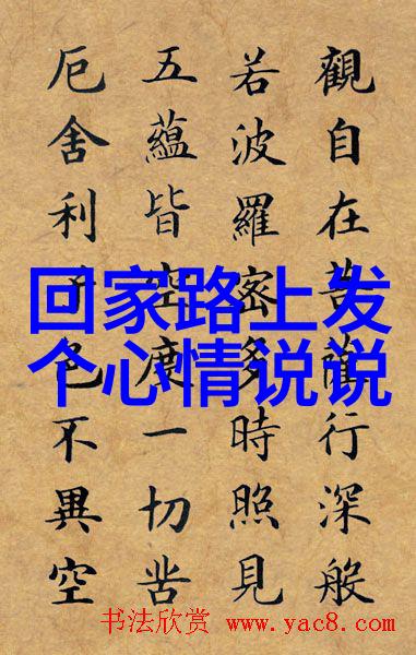 梅雨季家里潮得很洒脱拽语共赴湿气战场