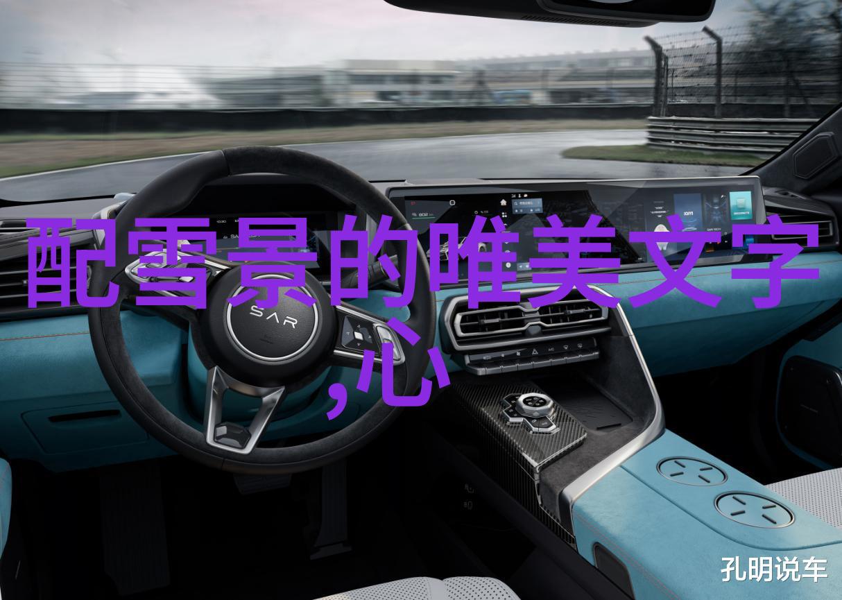 逆袭驾道两位车神的开挂之旅