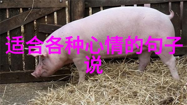 2022最火文字控图片我是怎么在朋友圈里刷爆文字控图片的