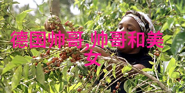 早安的诗意晨曦中的和谐交响