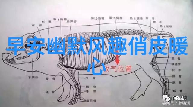 张耀宇探索世界几大陆地区在社会中的作用