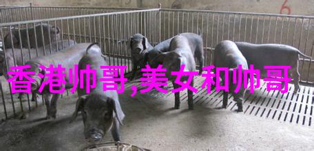 超级偶像的诡异演变鬼畜全明星背后的文化现象
