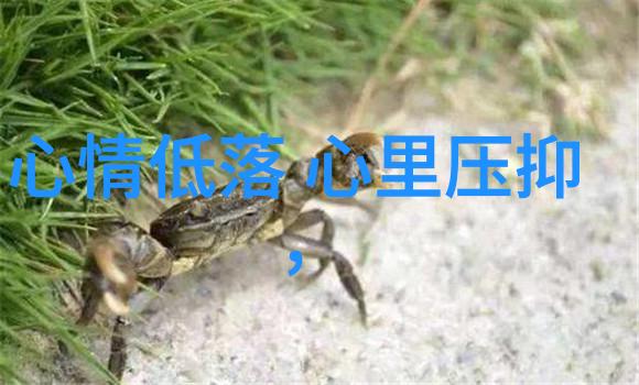 东坡肉的来历和做法 东坡肉的来历20字