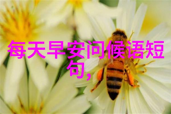 早安你是我的早晨太阳照亮我心灵的笑容