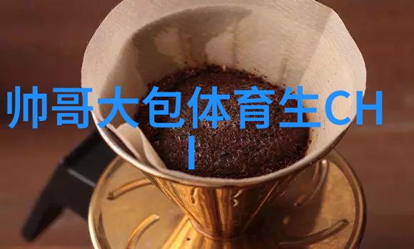 为什么国外用户对b站直播app如此着迷