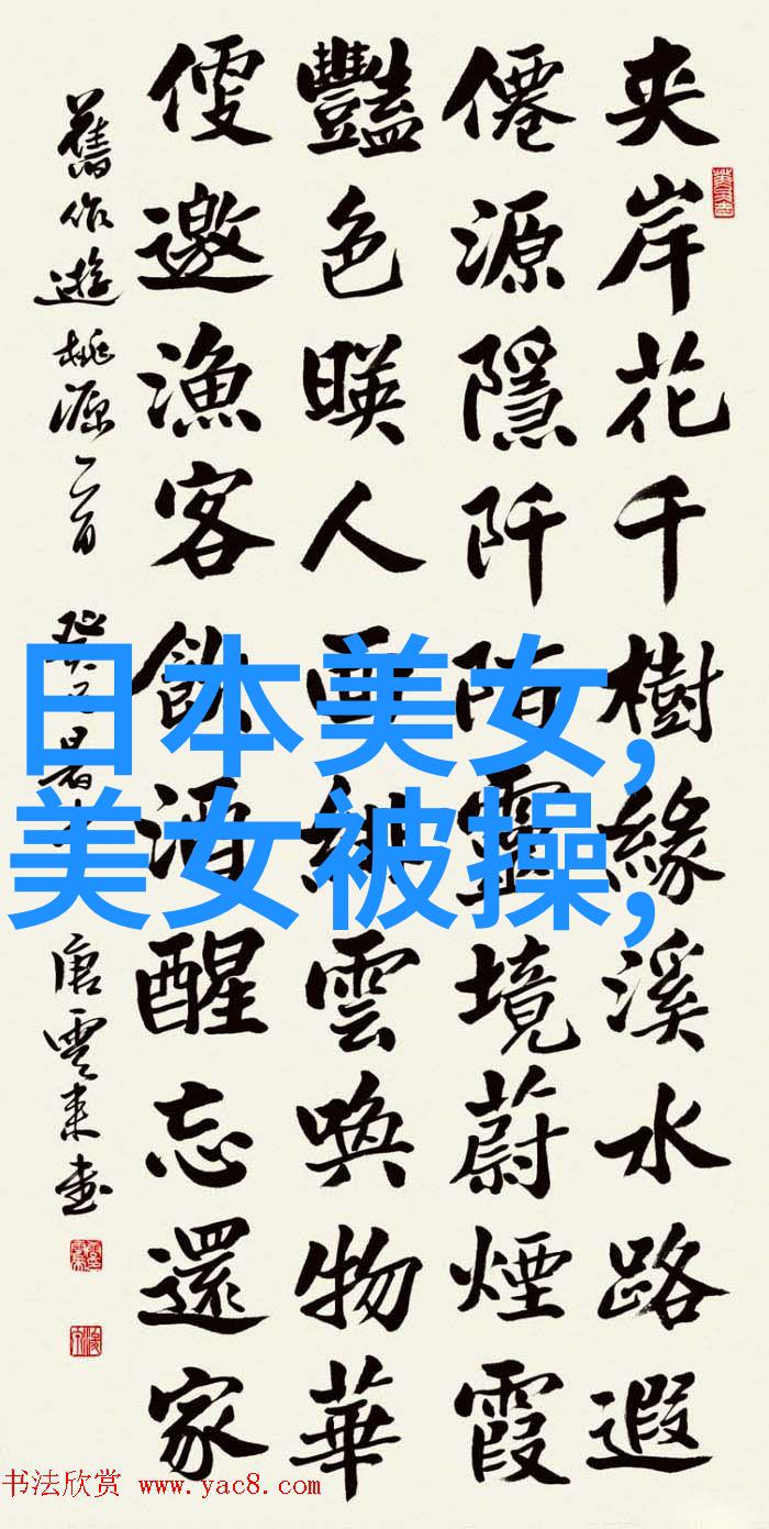 仙踪林Xzlcompany Limited探索数字化转型的奇迹与挑战
