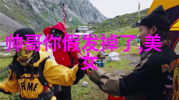 冬日奇遇雪花的舞蹈冬季风情下的幽默趣事