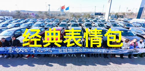 全明星街球派对 - 球场上的闪耀盛宴