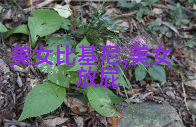 脚步轻盈帅气非凡如何打造完美男性足部线条