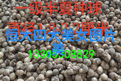 探秘生僻字大全解锁千古遗韵的奥秘
