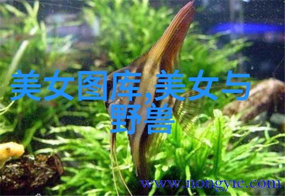心情简短句子朋友圈微光下的日常诗篇