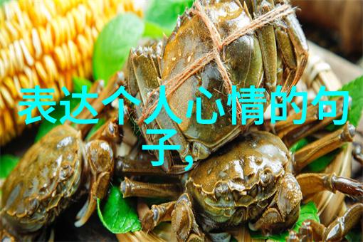 汉字宝库常用字典的奇迹与奥秘