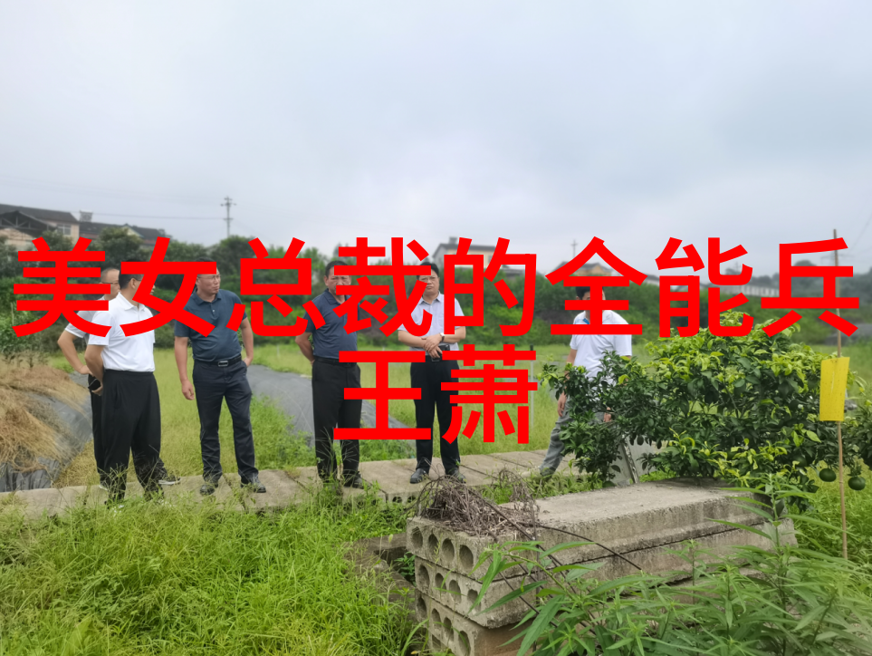楚辞女神古风四字ID仙气飘渺