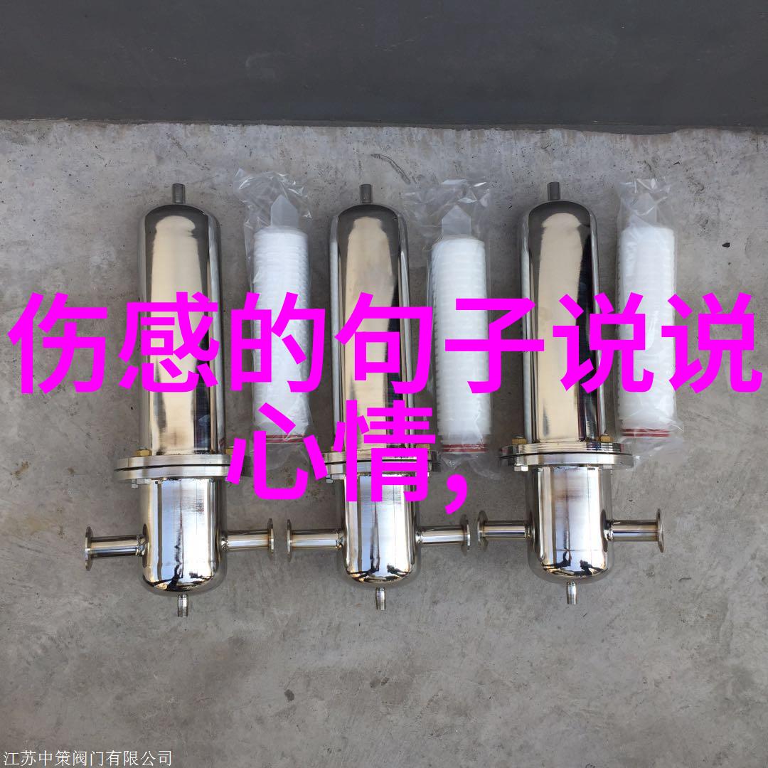 俄罗斯美女哔哩哔哩俄罗斯流行的网络动画文化和美丽女性形象