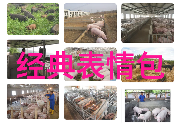 前几秒正常后几秒吓人的视频我亲眼见证的那段令人心跳加速的时刻
