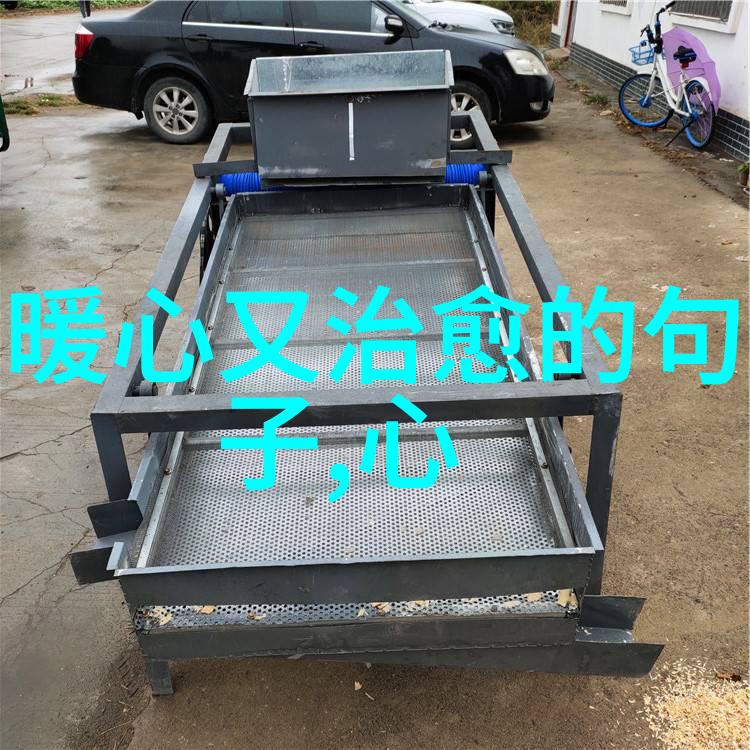 数字美学探索无价字体的免费之谜