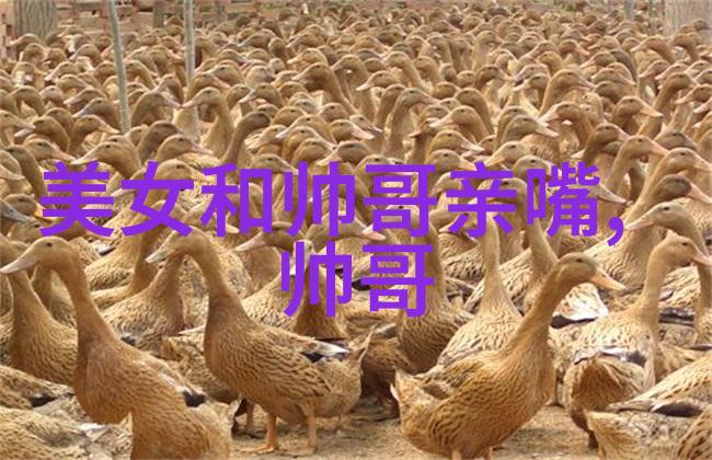 电脑开机遇到奇怪的挑战英文字母无法点亮屏幕