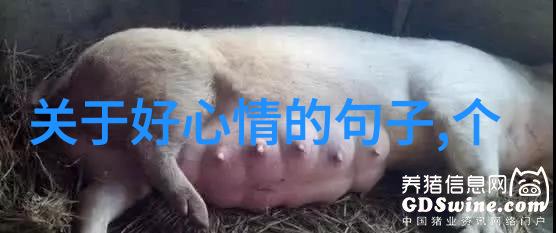 晨曦之谜揭开早安祝福的秘密