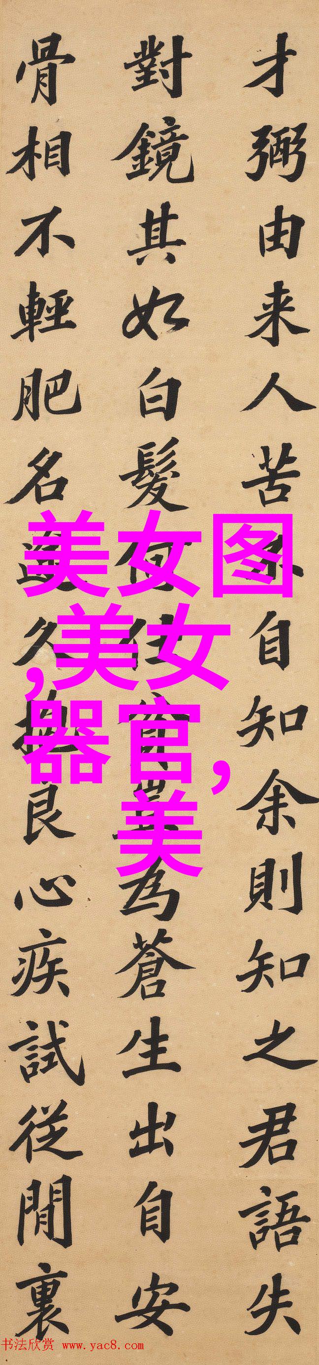 我最喜爱的明星娱乐界的闪耀天使