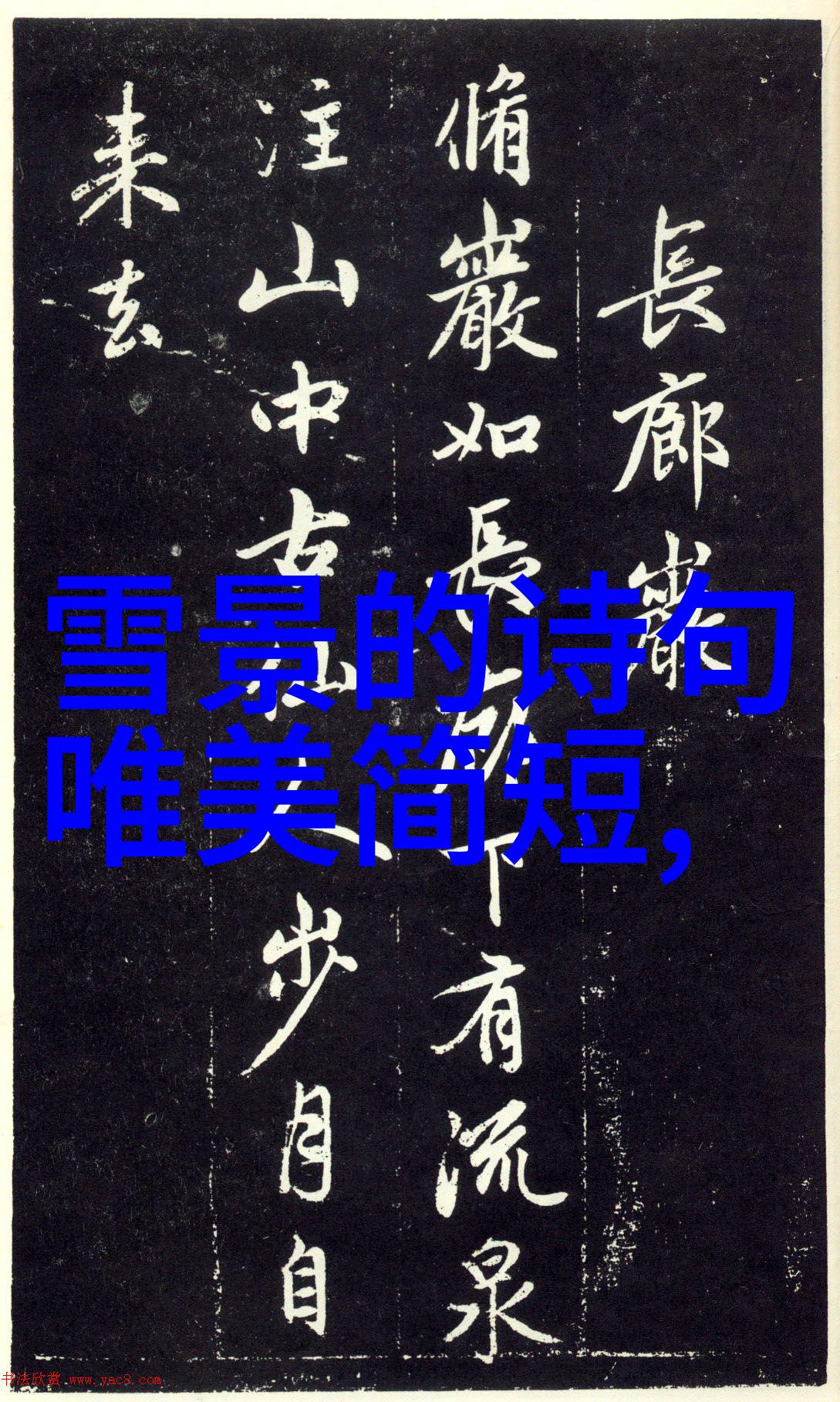 探寻花香之旅小宝的寻花录