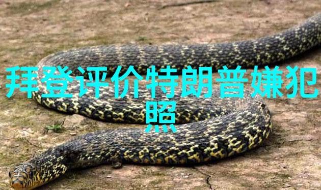 心情美美哒色彩交响曲