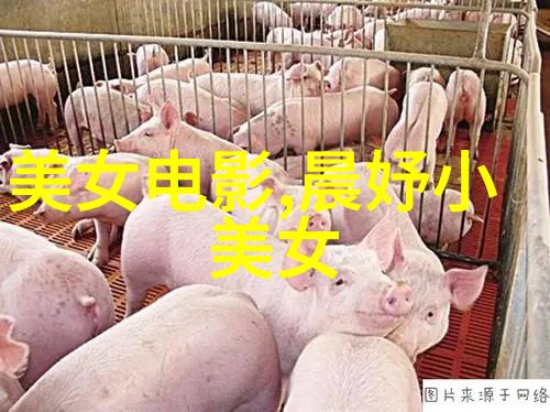 二凤翱翔全国地素时尚荟萃网友齐声疾呼今年最爽看电影