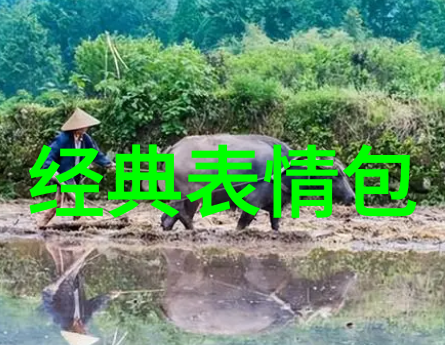免费聊天软件不充钱可以一直聊-无限对话揭秘那些让你随时随地畅谈的免费聊天应用