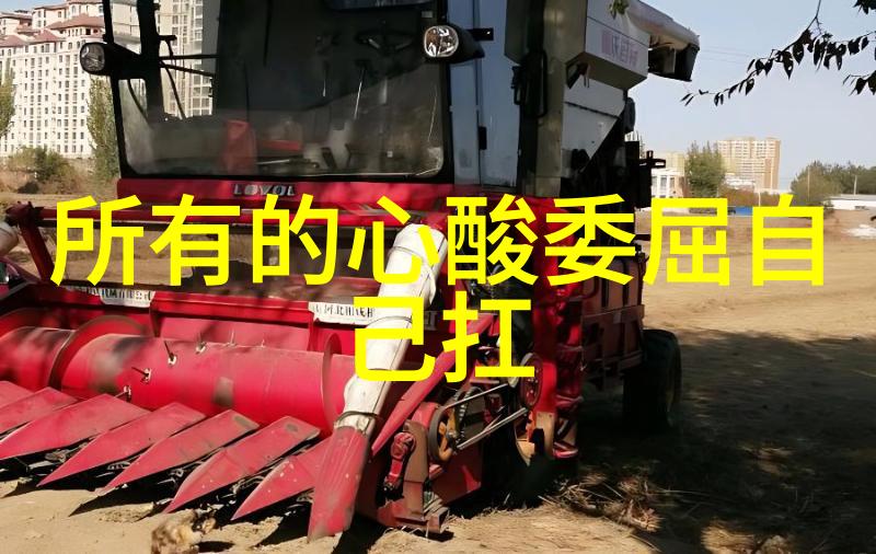 生活的篇章情感的绘画短句中的哲学与诗意