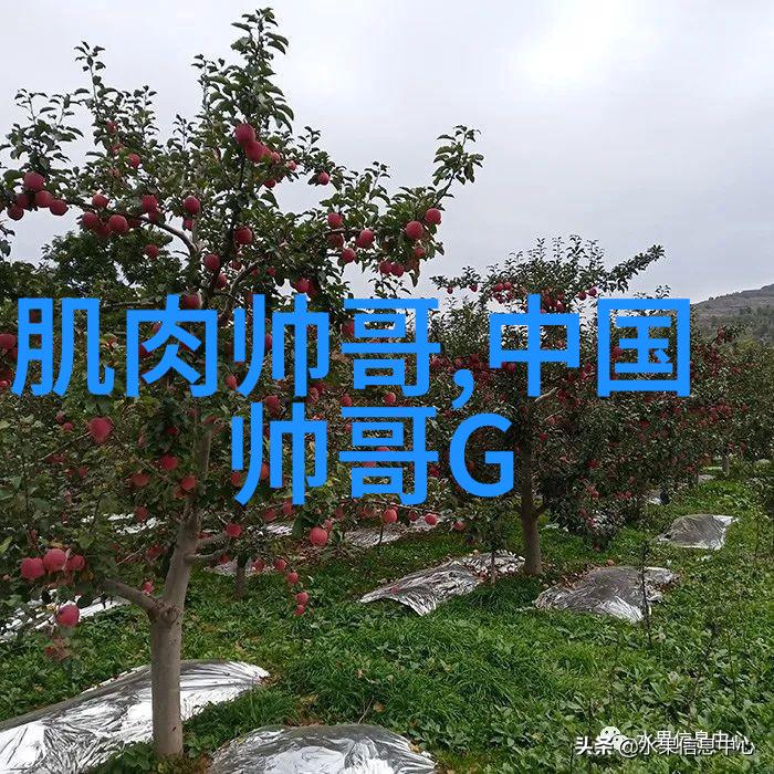 如何通过现代化的早上好的语言来提升团队合作精神