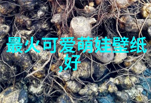 2023最火家庭群名亲情共鸣的数字时代新宠
